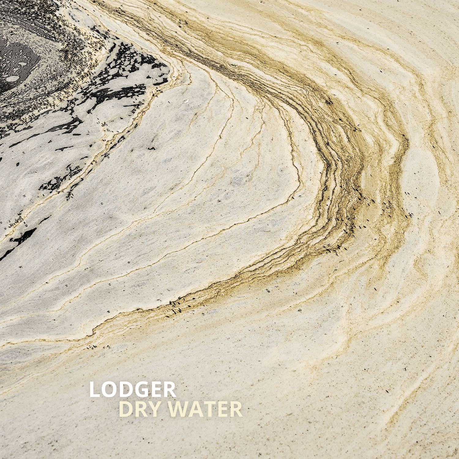 Lodger - Dry Water